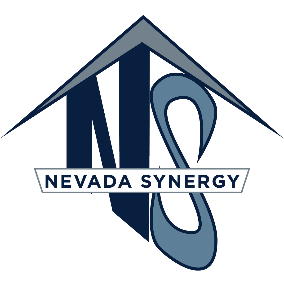 Nevada Synergy logo